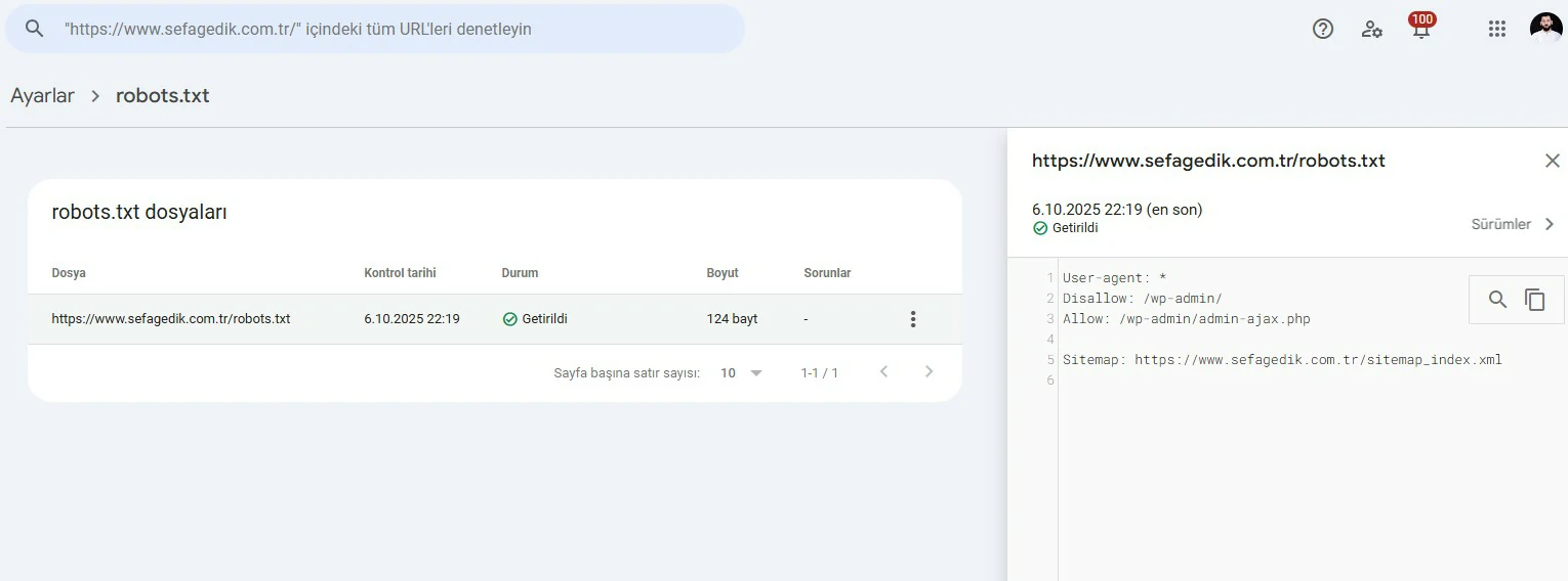 Robots.txt Google Search Console